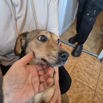 589094767 805830002434643 9156402242963495278 n