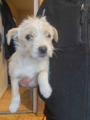 589135864 25314443198196268 7906628200086166306 n