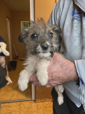 589142226 25314282584878996 5477258863245250634 n