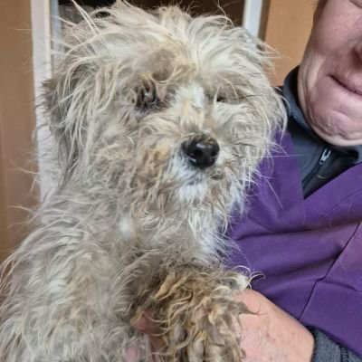 589188588 1207107691308662 8413347830489025419 n