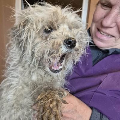 589295490 1156171213247301 4775299505026378472 n