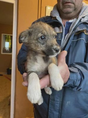 589307711 25314040644903190 1960488976380781119 n