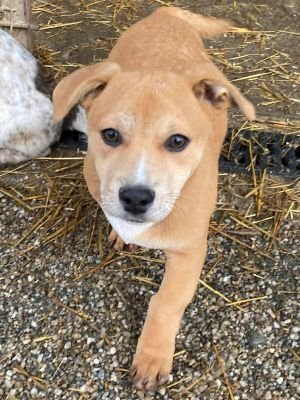 589514164 1015078344338700 5575682236918407746 n