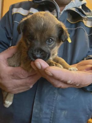 589542055 25305676889072899 8921136574309362902 n