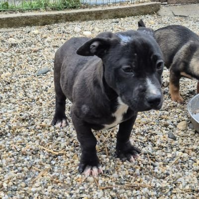 589562048 1539820624568354 1085571876714993821 n