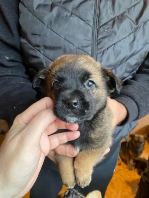 589604882 25305740385733216 4889025174486382482 n