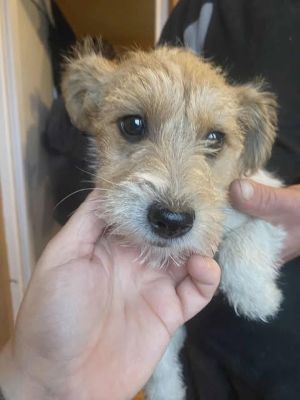 589611883 25314485928191995 1030475081942094594 n