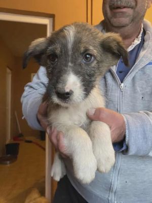 589683530 25314142048226383 1358871901367594777 n