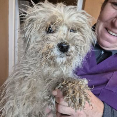 589717073 2616430592073375 8631079196253505843 n