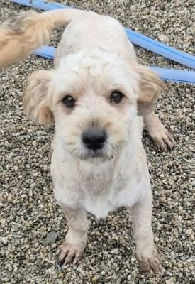 589823177 1562205121453262 648673598102164209 n