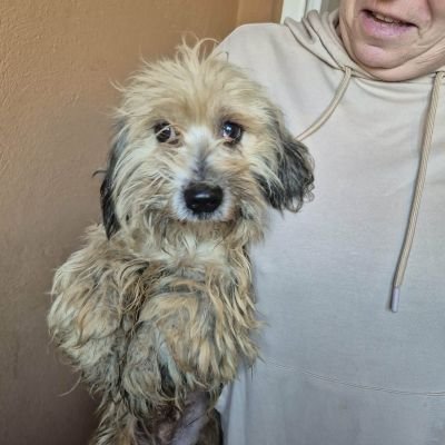 589830354 2012562843000553 7139303167556236593 n