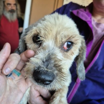 589887908 24319702821038690 5099041020375976079 n