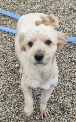 589930690 1735518404431996 1505158062061734688 n