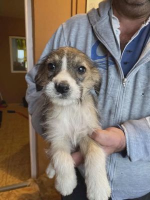 589944388 25314398101534111 2350996134886144535 n