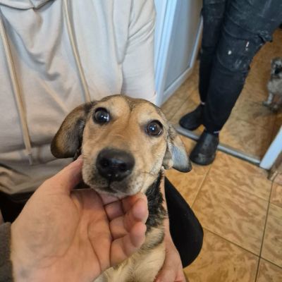 589954570 1385314559970147 6370270087031765359 n