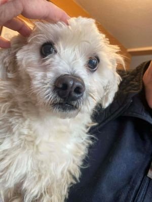 589961358 2353586328392081 6488944061293956263 n