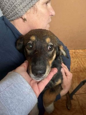 590011582 724121113626865 2095618535746749856 n