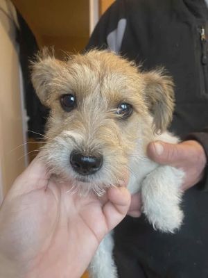 590061960 25314485914858663 9219971432376720434 n