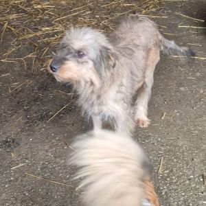 590082132 25313893631584558 23037859203562434 n