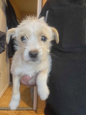 590161242 25314439184863336 2162406727278887306 n