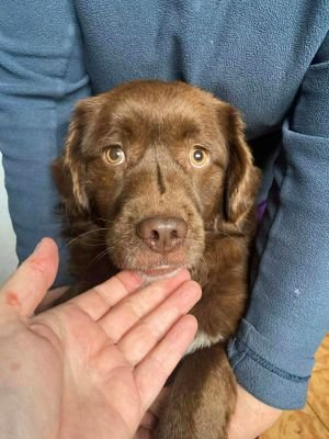 590237290 2020791192078543 1291392102465217 n