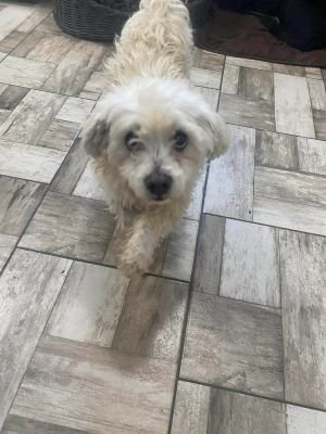 590240632 877259761479286 617211137713864358 n