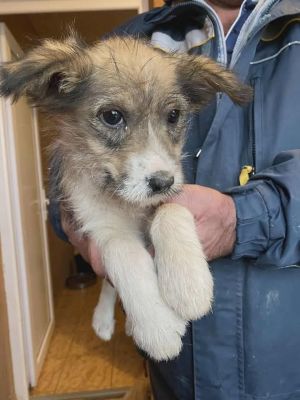 590379180 25314067904900464 4481548385207953242 n