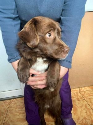 590438179 846460154767653 4791048905729353936 n