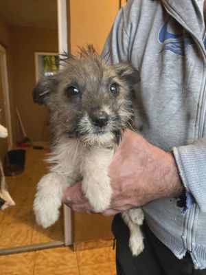 590472327 25314282778212310 8782585000993859542 n