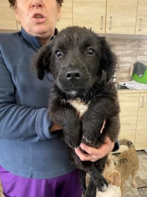 590612206 831610632916838 2961968674009182760 n