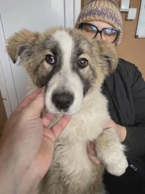 590621982 25321025010871420 7423520052094379907 n