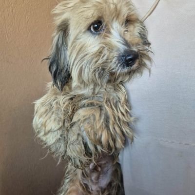 590711859 863562279390336 2006712058787412199 n