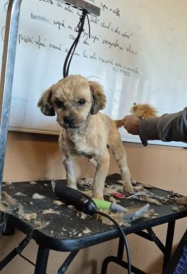 590867653 751367307986707 113478237867287670 n