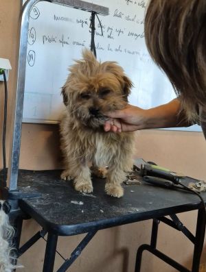 590926118 751367311320040 247084235244054547 n