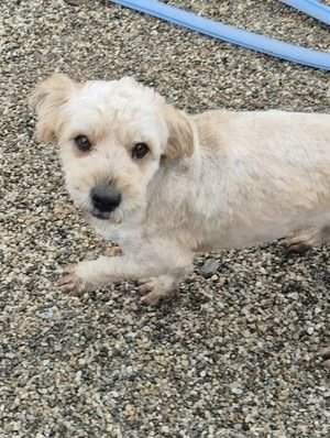 591210266 2633131143705915 4435883691102833946 n