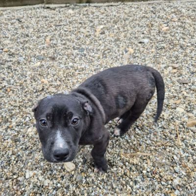 591780263 696622703244074 3299584921693522472 n