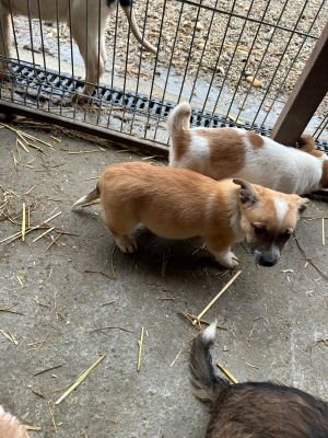 592056410 2119818708551516 4133071374967966455 n