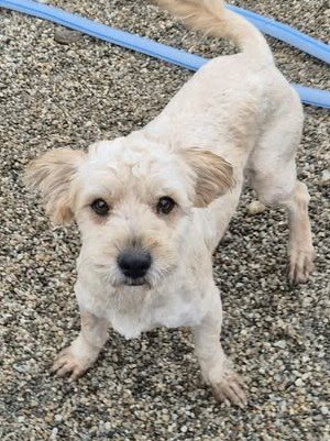 592065790 1546150609756300 4482341436618210777 n