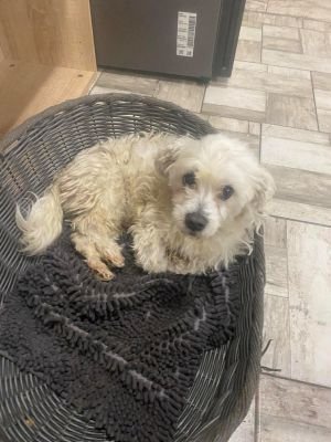 592091681 1338249184707217 4413394694683548372 n