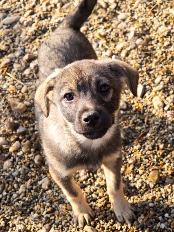 592226420 2693190901065395 7454008563179347334 n