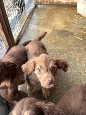 592359298 25360549643585623 7786259227355644092 n