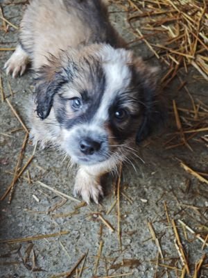 592382908 2119812861885434 7108538951794709111 n