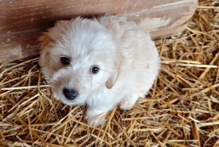 592396419 2119804338552953 1789650911543430470 n