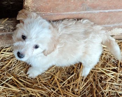 592461700 2119804415219612 8158347227687113397 n