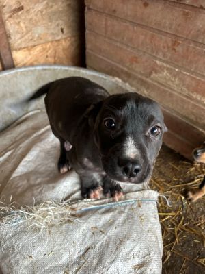 592488661 4260818840863361 6582504230163253096 n