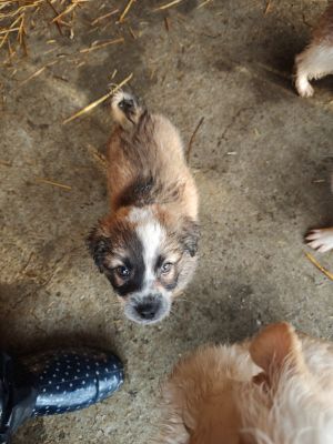 592524226 2119812751885445 6157766364059652127 n