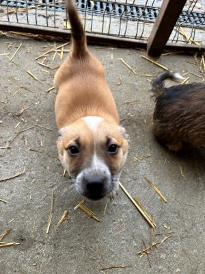 592548253 2119819035218150 4872225383070885126 n