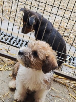 592559106 2119823891884331 2799167604595836981 n