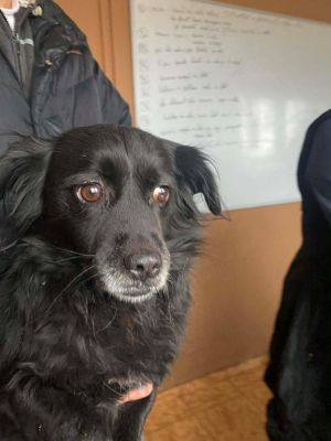 592613015 2050849259051036 6349456203151331748 n