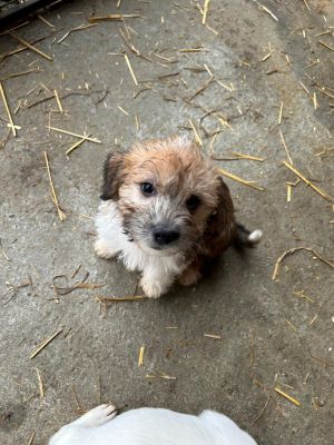 592656141 2119823715217682 447466461867151916 n